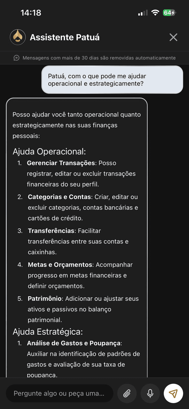 Assistente financeiro do Patuá
